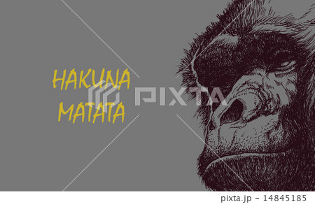 Ape head in black and white. Ape head in black and white. 14845185