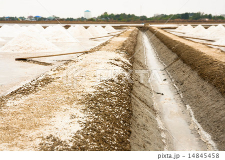 Salt Farm, salt pile in Thailand 14845458
