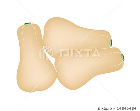 Heap of Butternut Squashes on A White Background Heap of Butternut Squashes on A White Background 14845484