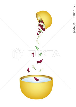 Water Bowl for Songkran Festival Water Bowl for Songkran Festival 14845975