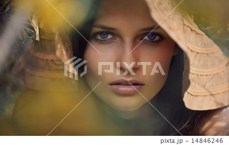 portrait of beautiful young girl portrait of beautiful young girl 14846246