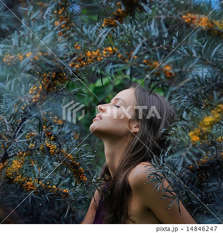 portrait of beautiful young girl portrait of beautiful young girl 14846247