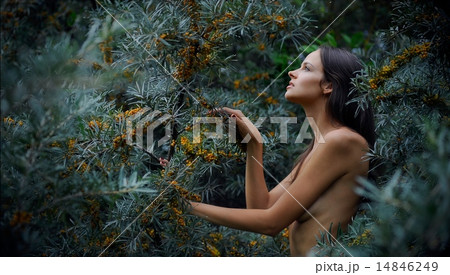 portrait of beautiful young girl portrait of beautiful young girl 14846249