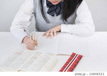 勉強する女子高生 14846521