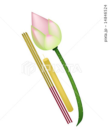 Pink Lotus with Joss Sticks and Candle 14846524