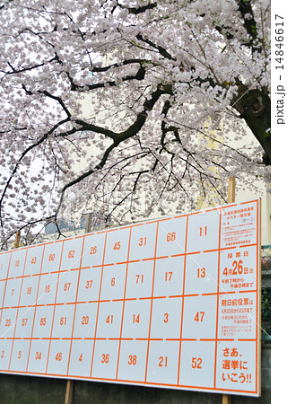 東京都議会選挙 東京都議会選挙 14846617