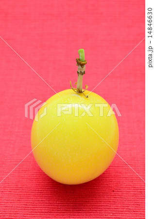 黄色いパッションフルーツ♪ 14846630