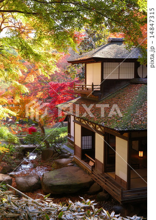 三溪園の紅葉 三溪園の紅葉 14847315