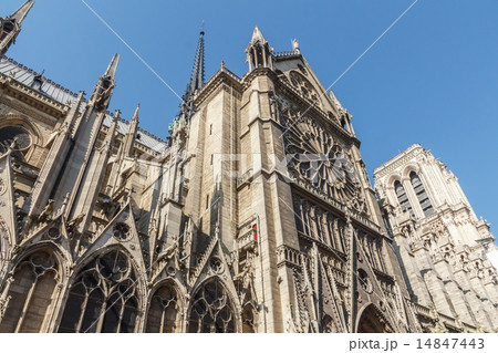 Notre Dame Cathedral, Paris, France 14847443