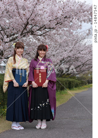 10.20代日本人女性袴姿卒業証書 10.20代日本人女性袴姿卒業証書 14847547