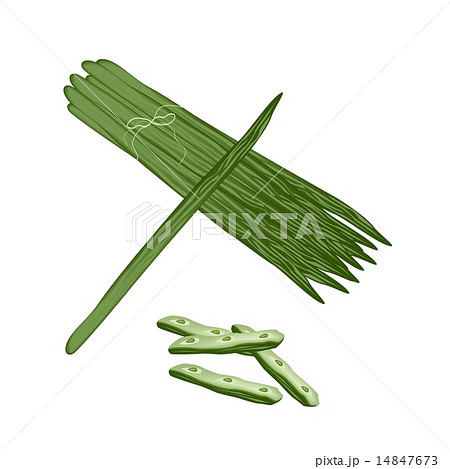 Moringa Oleifera Fruit and Leaves 14847673