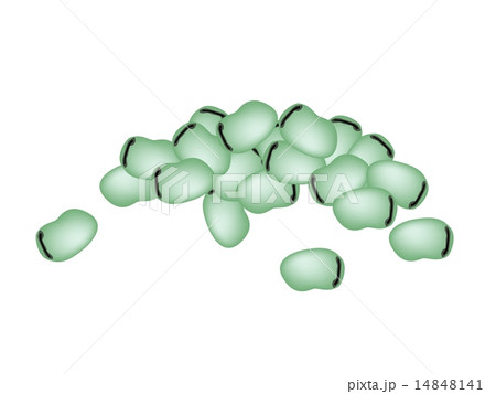 A Stack of Fresh Green Broad Beans A Stack of Fresh Green Broad Beans 14848141