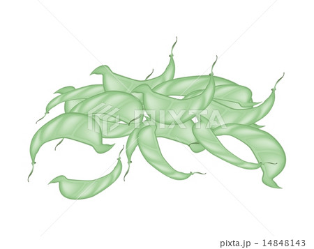 A Stack of Fresh Dolichos Lablab Pods 14848143