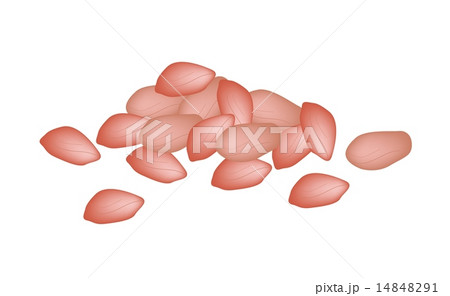 A Heap of Peanuts on White Background A Heap of Peanuts on White Background 14848291