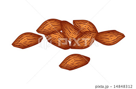 A Stack of Almonds on White Background A Stack of Almonds on White Background 14848312