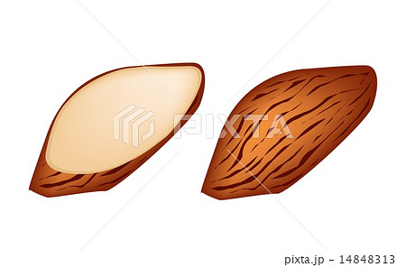 Whole and Slice Almonds on White Background 14848313