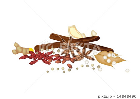 A Stack of Dried Spices on White Background A Stack of Dried Spices on White Background 14848490