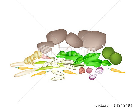A Stack of Tom Yum Soup Ingredient A Stack of Tom Yum Soup Ingredient 14848494