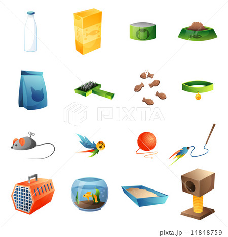 Cat stuff set 14848759