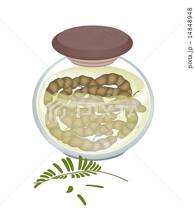 Preserved Tamarinds in A jar on White Background 14848948