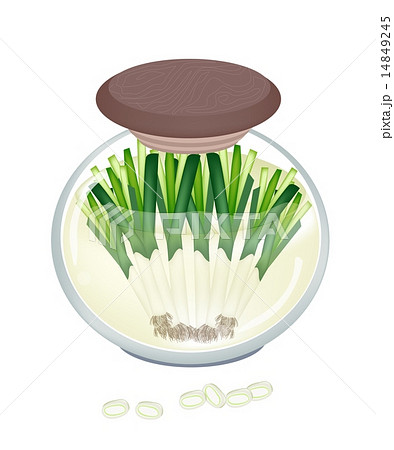 Delicious Pickled Fresh Leek in A Jar 14849245