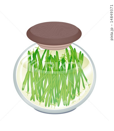 Delicious Pickled Green Bean in A Jar Delicious Pickled Green Bean in A Jar 14849371