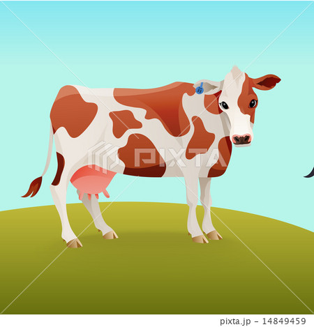 Brown and white spotted cow 14849459