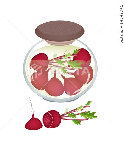 Jar of Pickled Radishes Or Beets with Malt Vinegar 14849741