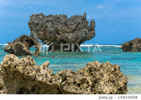 古宇利島　渡海浜ポットホール 14850098