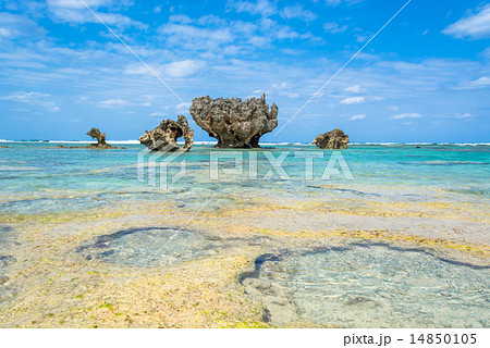 〈沖縄県〉古宇利島 トケイ浜（ポットホール） 14850105