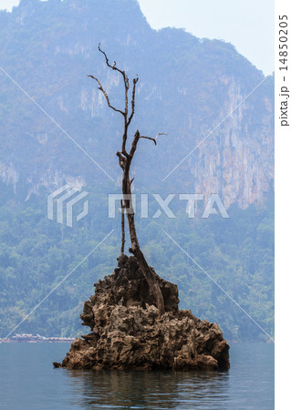 Khao sok park, mountain and lake 14850205