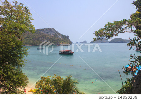 beautiful tropical sea in summer 14850239