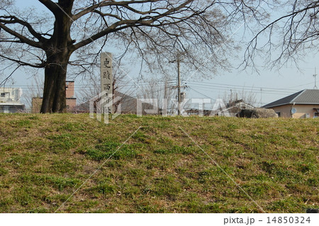 京都　史跡西寺址 14850324