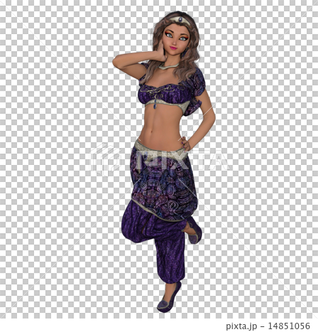 ベリーダンサー 14851056