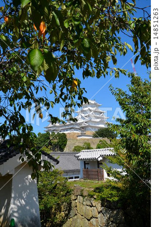 姫路城大天守(世界文化遺産・国宝) 姫路城大天守(世界文化遺産・国宝) 14851263