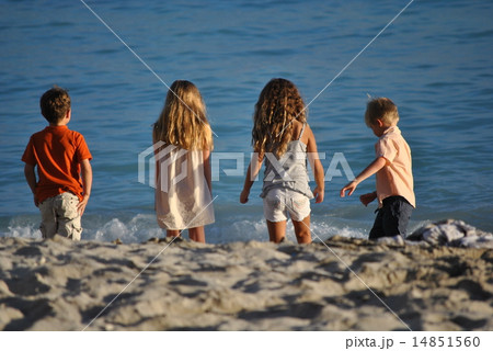 ワイキキダブルデート 14851560