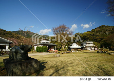 道の駅　花の三聖苑伊豆松崎 14858830