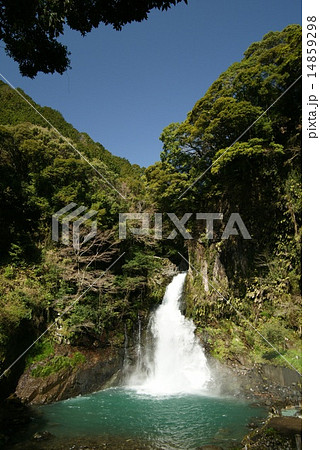 名勝河津七滝の大滝 14859298