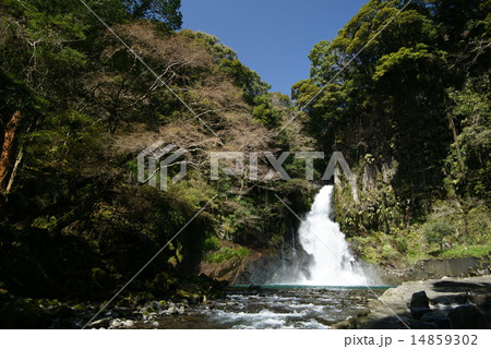 名勝河津七滝の大滝 名勝河津七滝の大滝 14859302