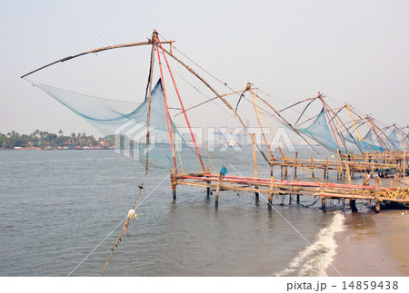 コチのチャイニーズフィッシングネット コチのチャイニーズフィッシングネット 14859438