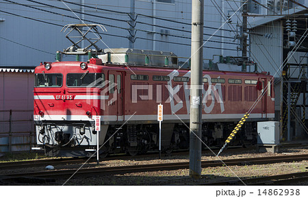 EF81型電気機関車 EF81型電気機関車 14862938