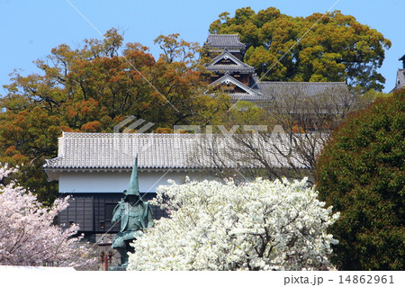 春の熊本城 14862961