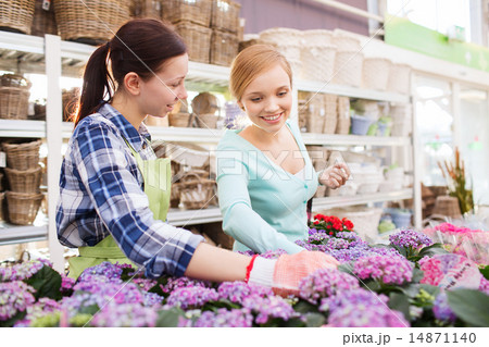 happy women choosing flowers in greenhouse happy women choosing flowers in greenhouse 14871140