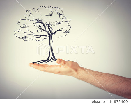 man with small tree in his hand man with small tree in his hand 14872400