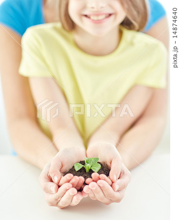 close up of child and parent hands holding sprout close up of child and parent hands holding sprout 14874640
