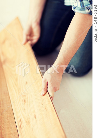 close up of male hands intalling wood flooring 14875193