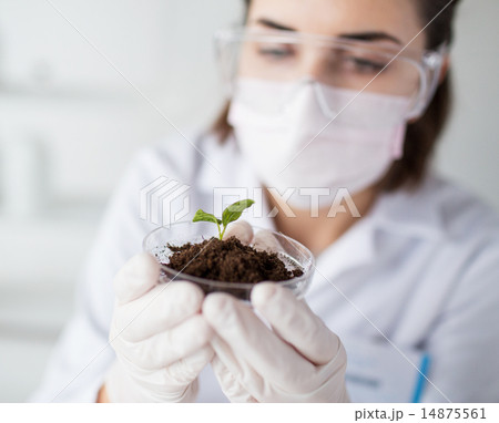 close up of scientist with plant and soil in lab 14875561