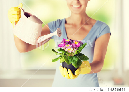 woman holding pot with flower woman holding pot with flower 14876641