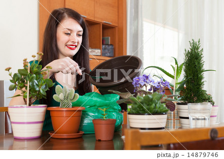 woman working with flowers in pots 14879746