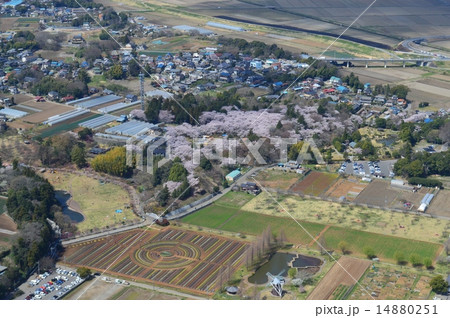 あけぼの山公園 14880251